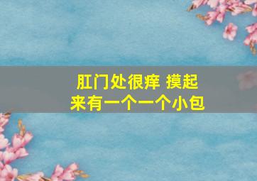 肛门处很痒 摸起来有一个一个小包